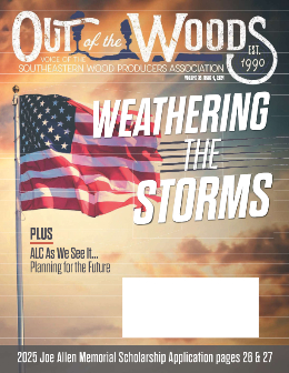 Issue 4, 2025
